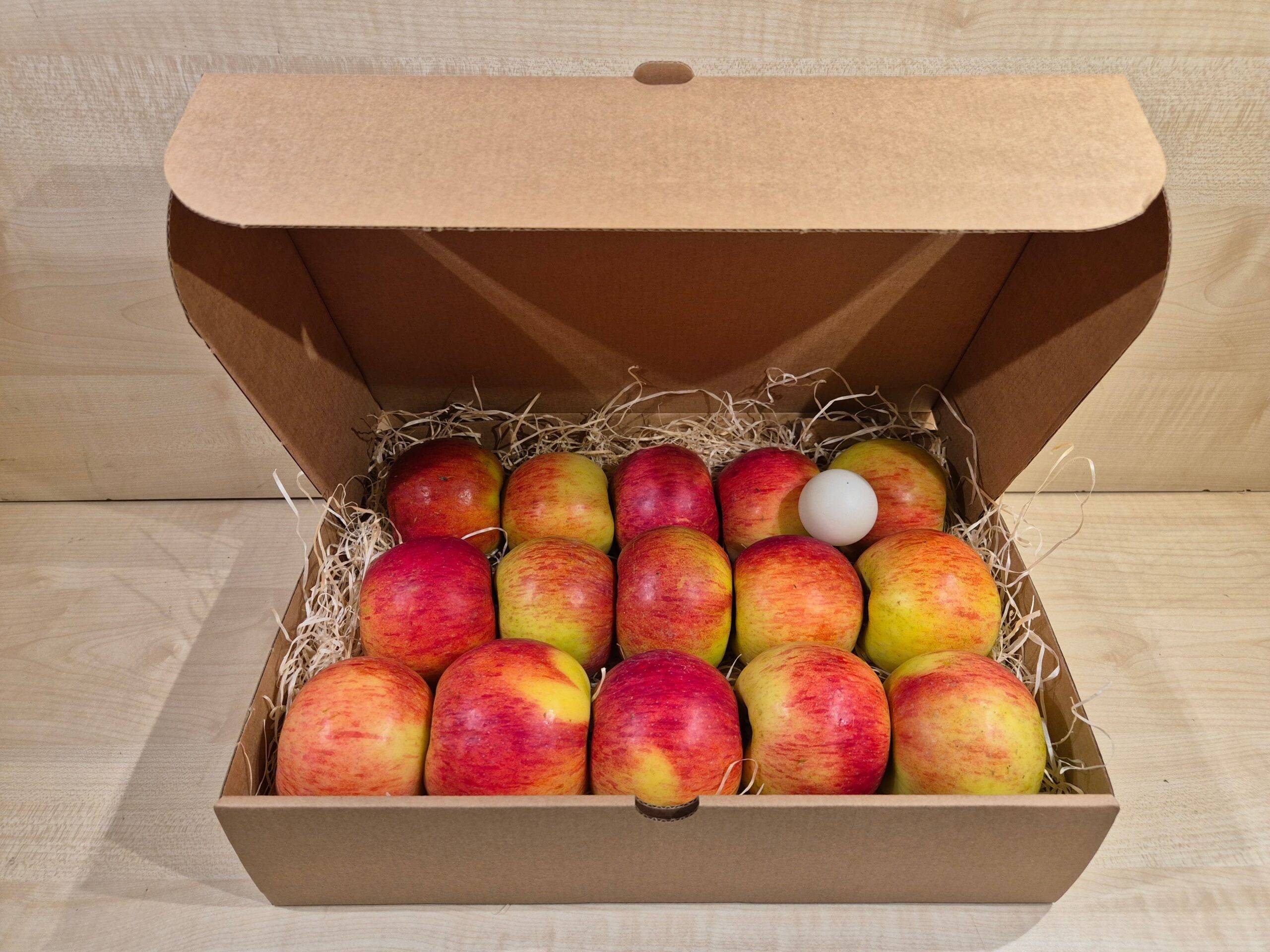 'Krista' I klass, 75+mm